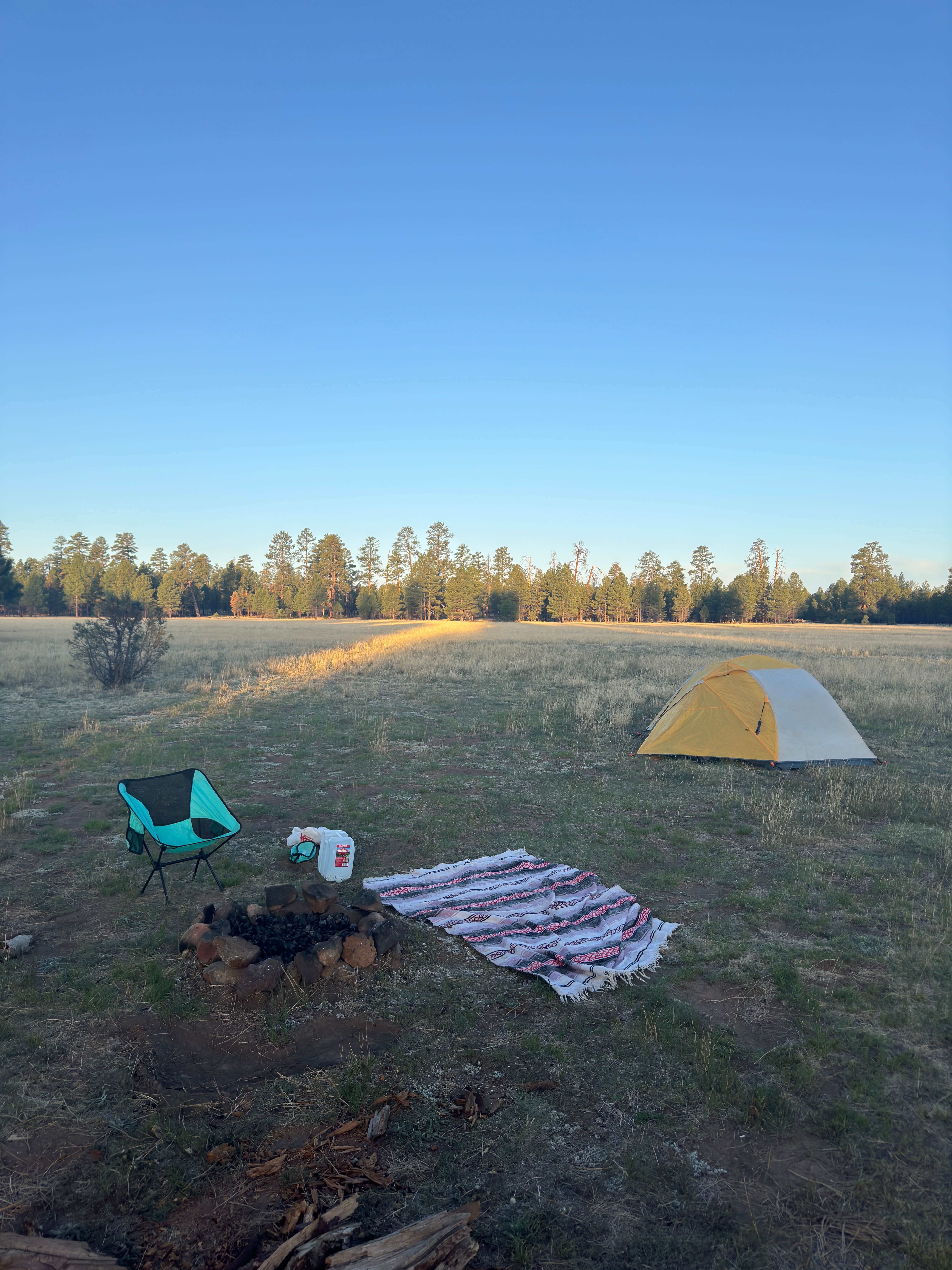 Mary P.'s photo of a dispersed camping area at Gonzo’s Place Dispersed USFS near Happy Jack, AZ