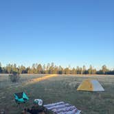 Review photo of Gonzo’s Place Dispersed USFS by Mary P., May 26, 2025