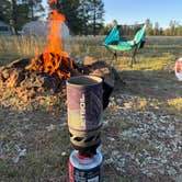 Review photo of Gonzo’s Place Dispersed USFS by Mary P., May 26, 2025