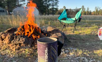Mary P.'s photo at Gonzo’s Place Dispersed USFS near Happy Jack, AZ