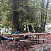 Review photo of Goodell Creek Campground — North Cascades National Park by Teresa A., November 21, 2025