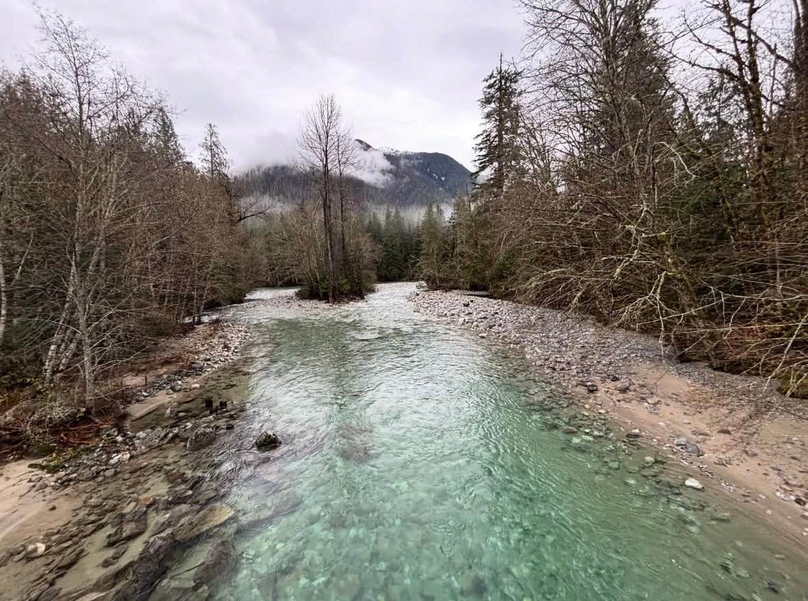 Camper submitted image from Goodell Creek Campground — North Cascades National Park - 4