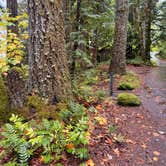 Review photo of Goodell Creek Campground — North Cascades National Park by Amy W., September 29, 2026