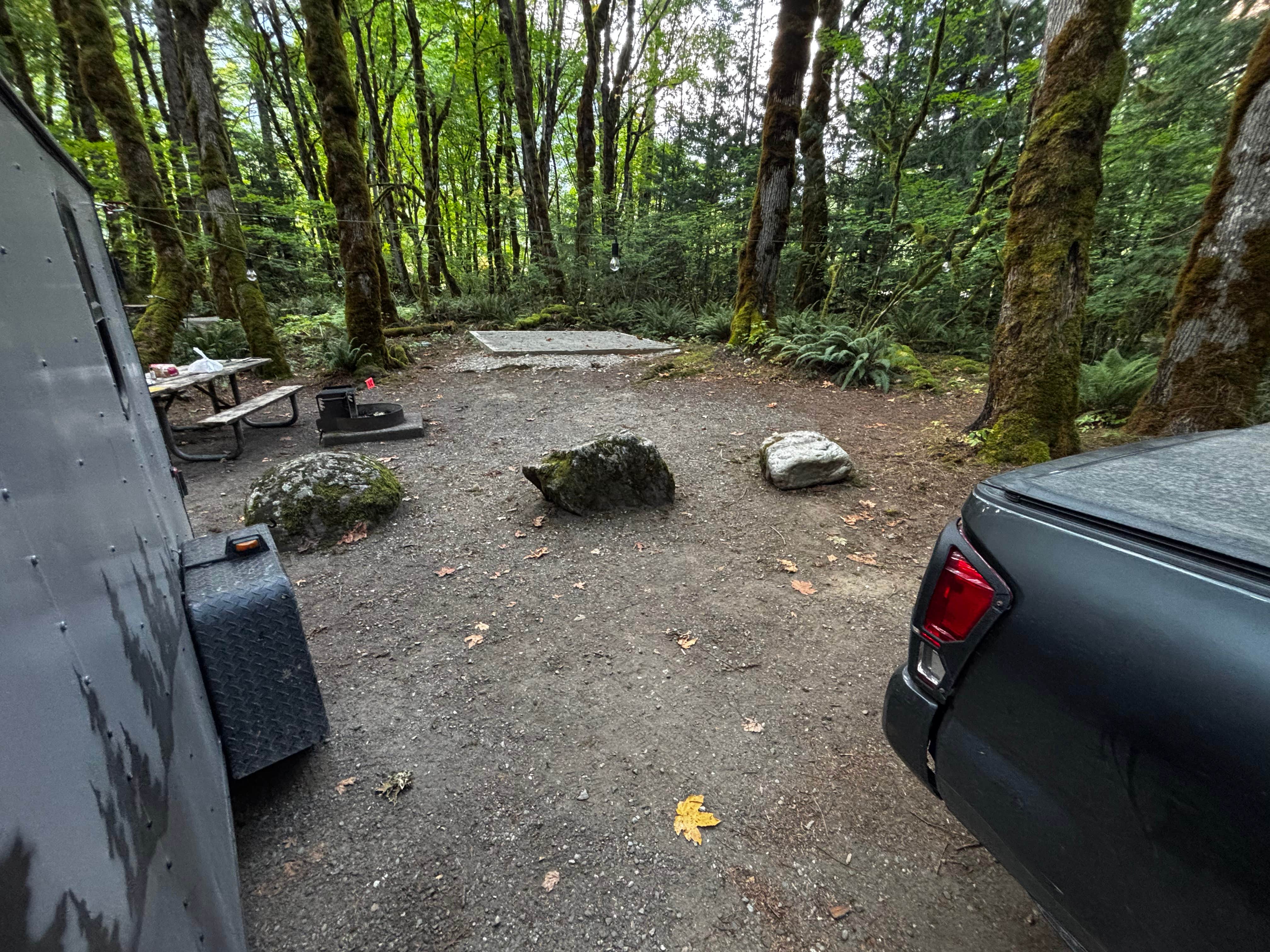 Camper submitted image from Goodell Creek Campground — North Cascades National Park - 1
