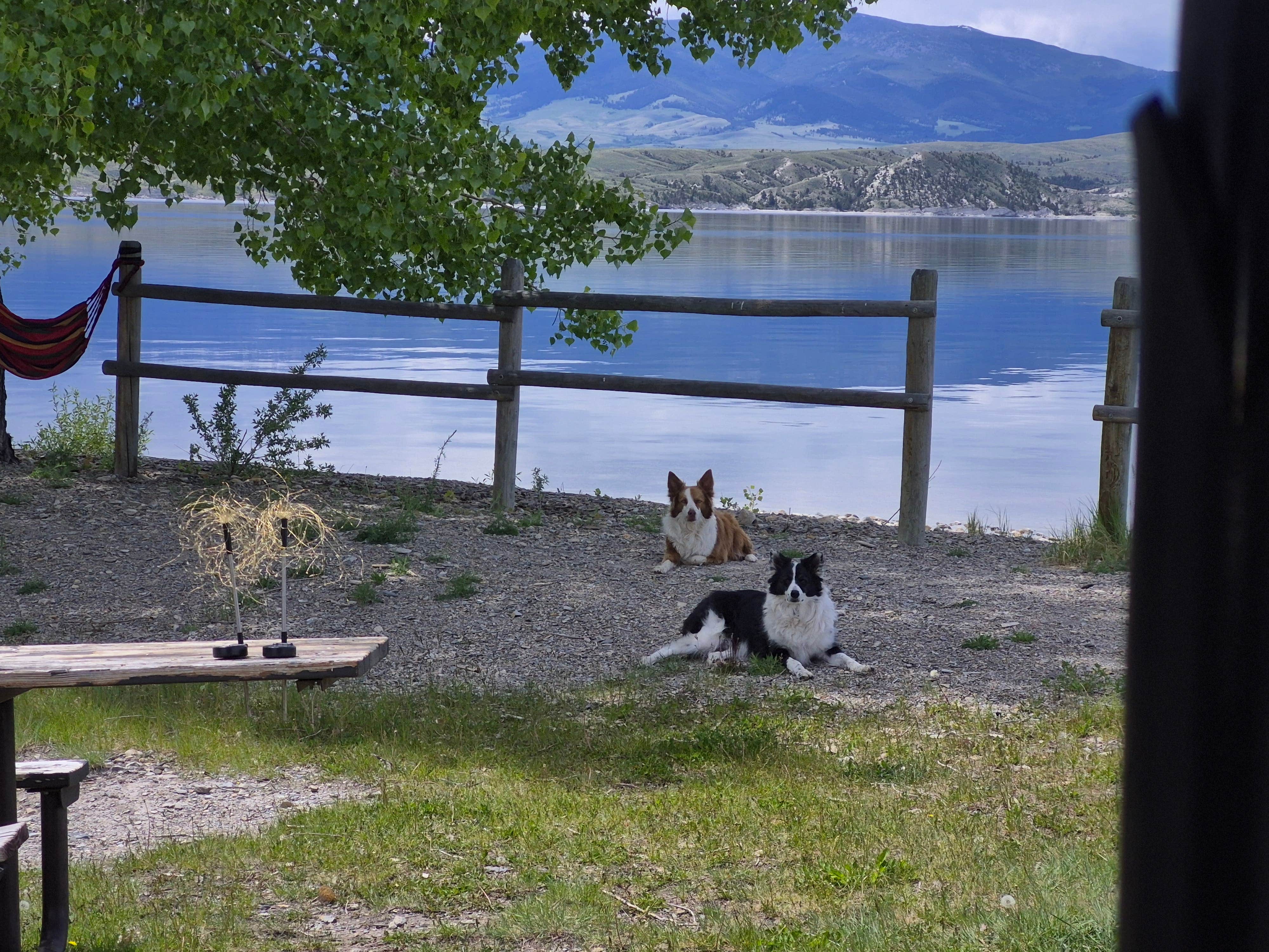 Camper-submitted photo at Goose Bay BLM near Canyon Ferry Lake