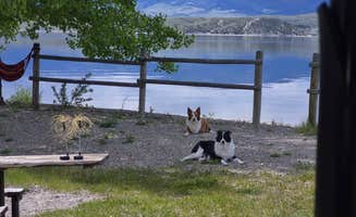 Terrie L.'s photo of camping with pets at Goose Bay BLM near Helena, MT