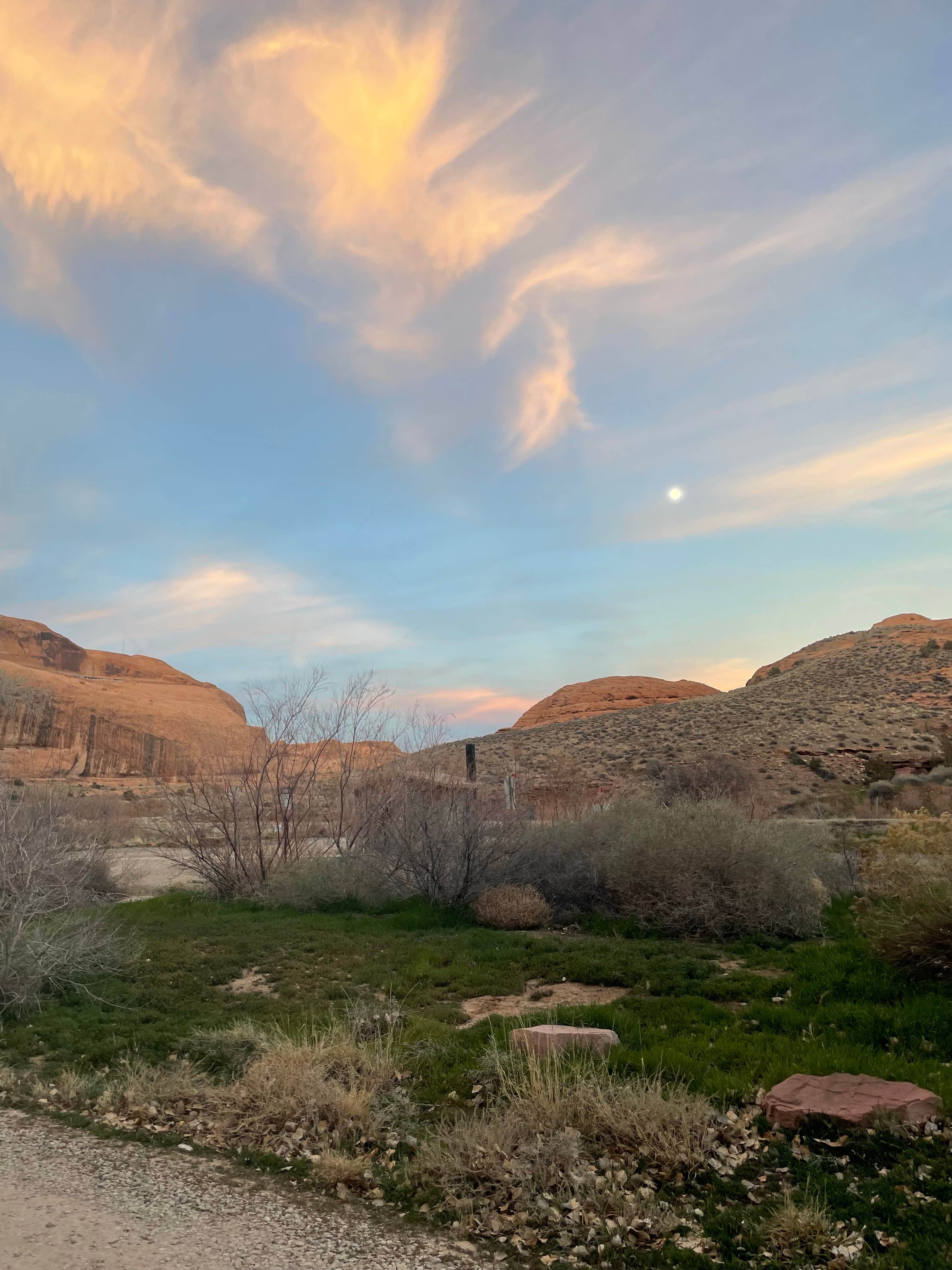 Camper-submitted photo at Goose Berry Canyonlands national Park near Ephraim, UT