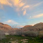 Review photo of Goose Berry Canyonlands national Park by mara , March 2, 2026