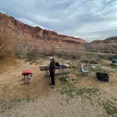 Review photo of Goose Berry Canyonlands national Park by mara , March 2, 2026