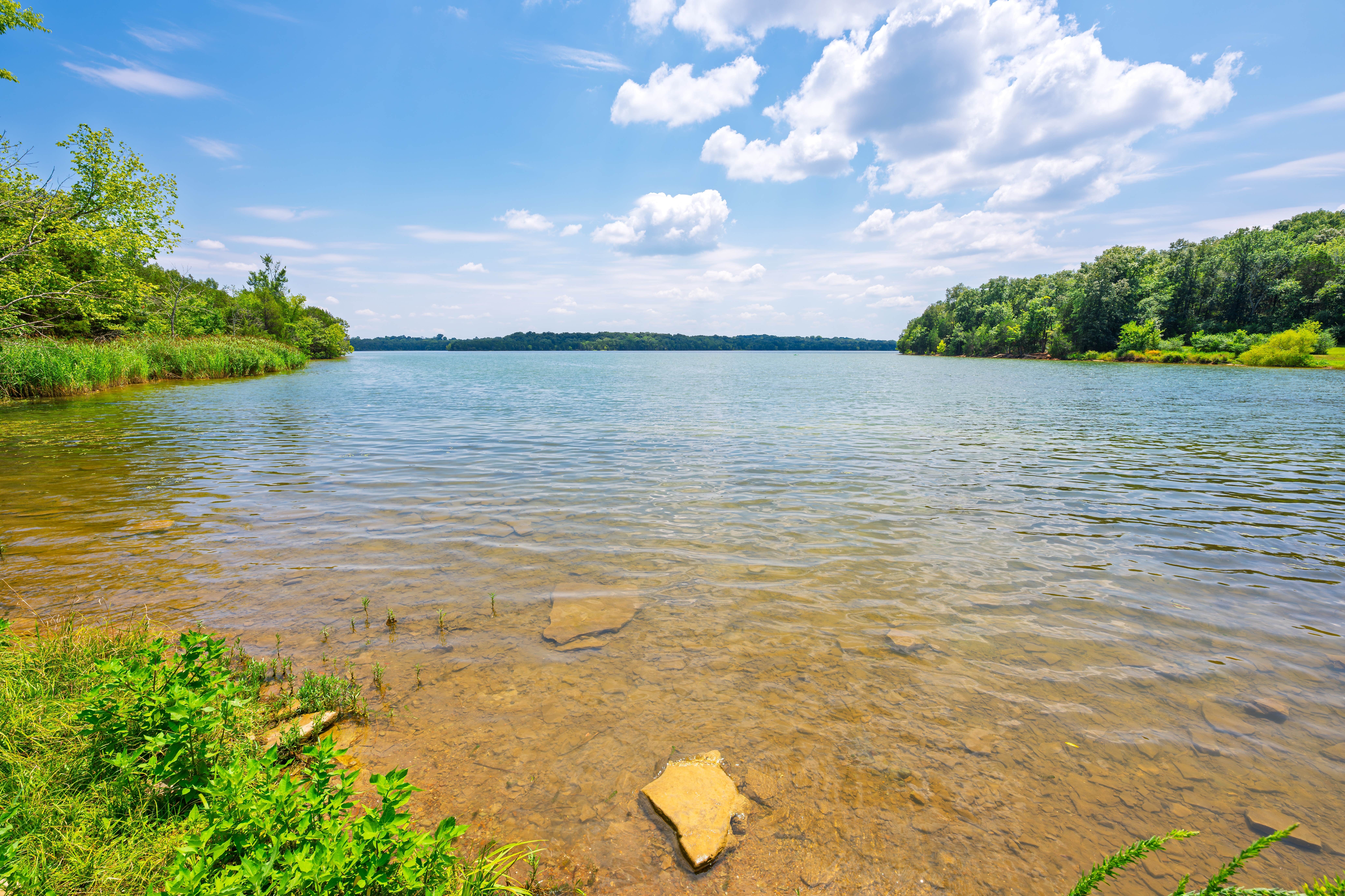 Camper-submitted photo at Goose Island - J. Percy Priest Lake near Duck River, TN