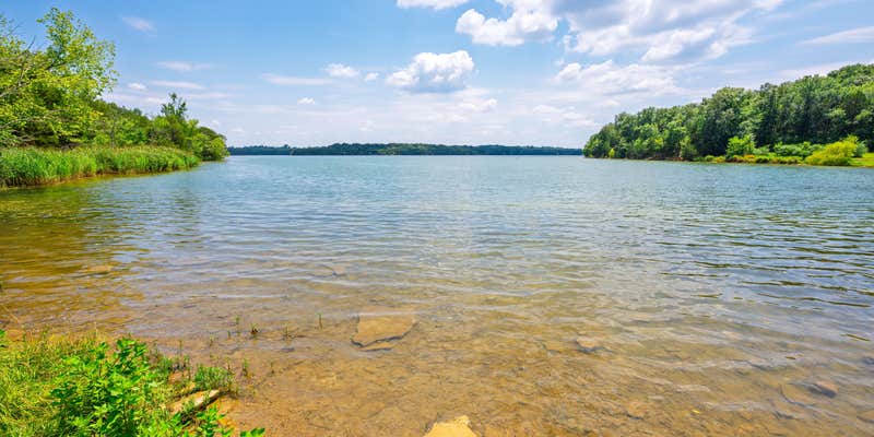 Camper submitted image from Goose Island - J. Percy Priest Lake