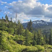 Review photo of Goose Lake Camping Area by Shawn S., July 26, 2026