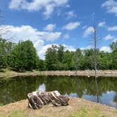 Review photo of Goose Pond Road Camp by Michele D., May 24, 2024