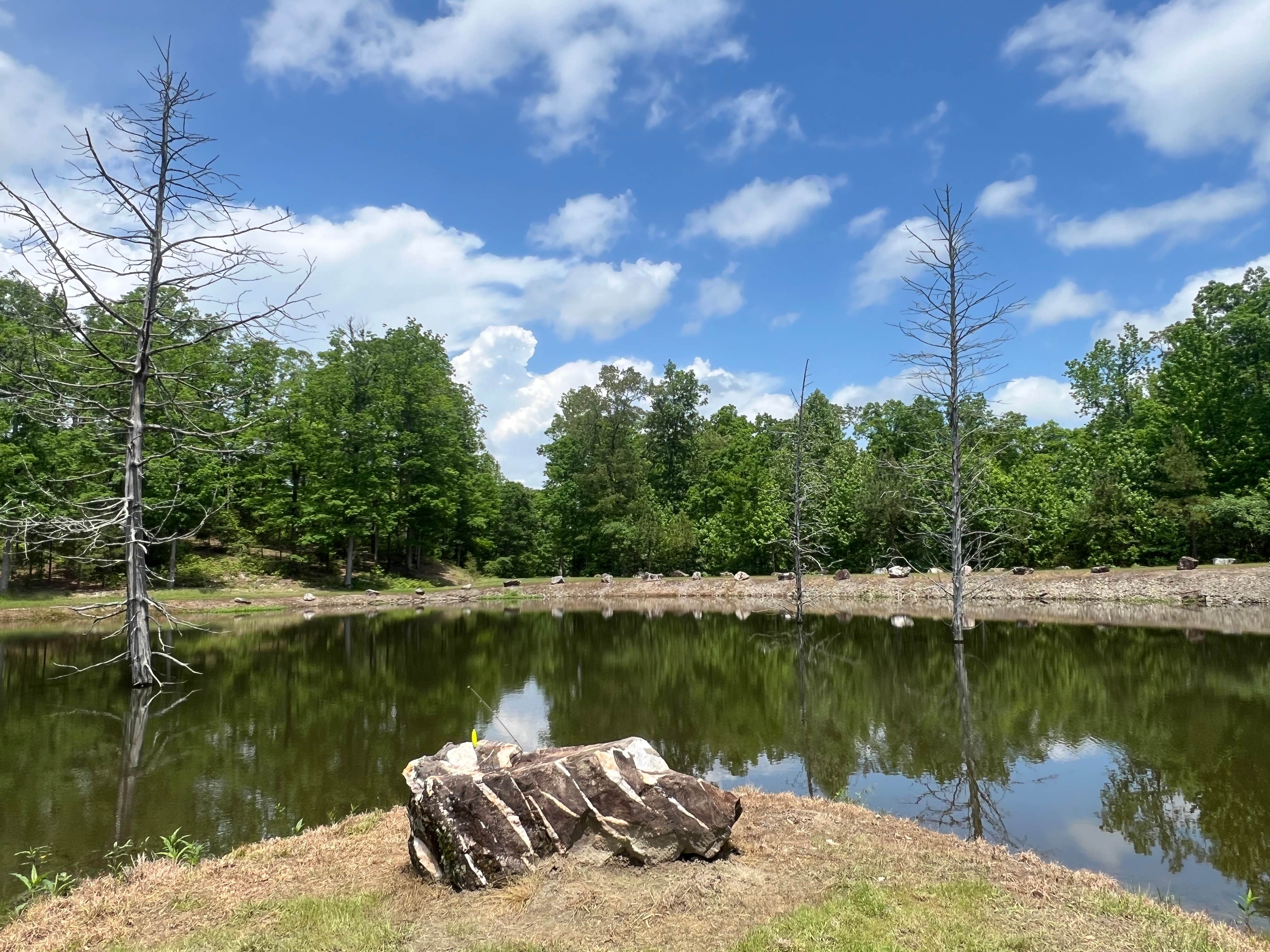 Camper submitted image from Goose Pond Road Camp - 5