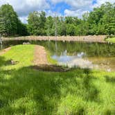 Review photo of Goose Pond Road Camp by Michele D., May 24, 2024