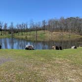 Review photo of Goose Pond Road Camp by Lezley R., March 27, 2024