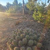 Review photo of Gooseberry Mesa by Tim L., May 15, 2026