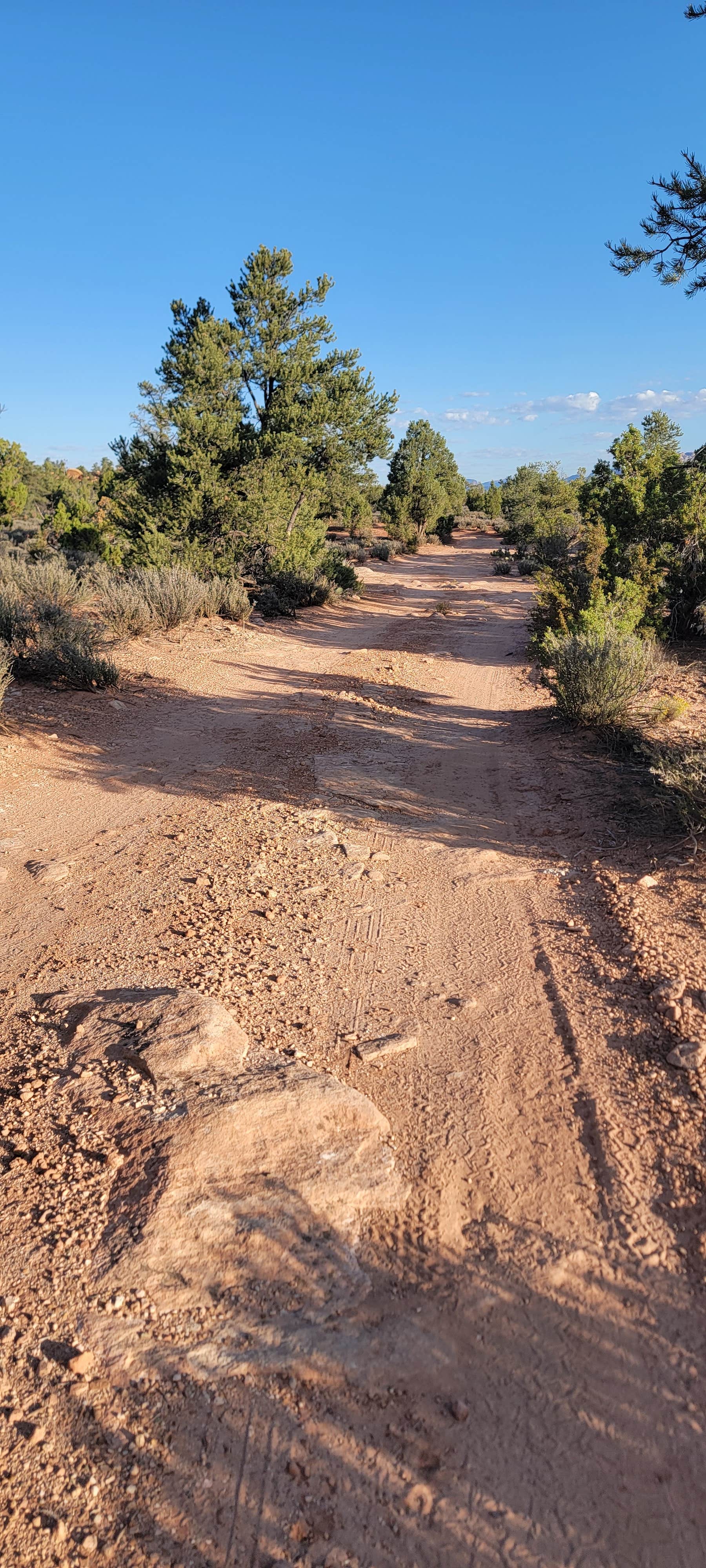 Camper submitted image from Gooseberry Mesa - 3