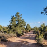 Review photo of Gooseberry Mesa by Sharon C., October 10, 2023