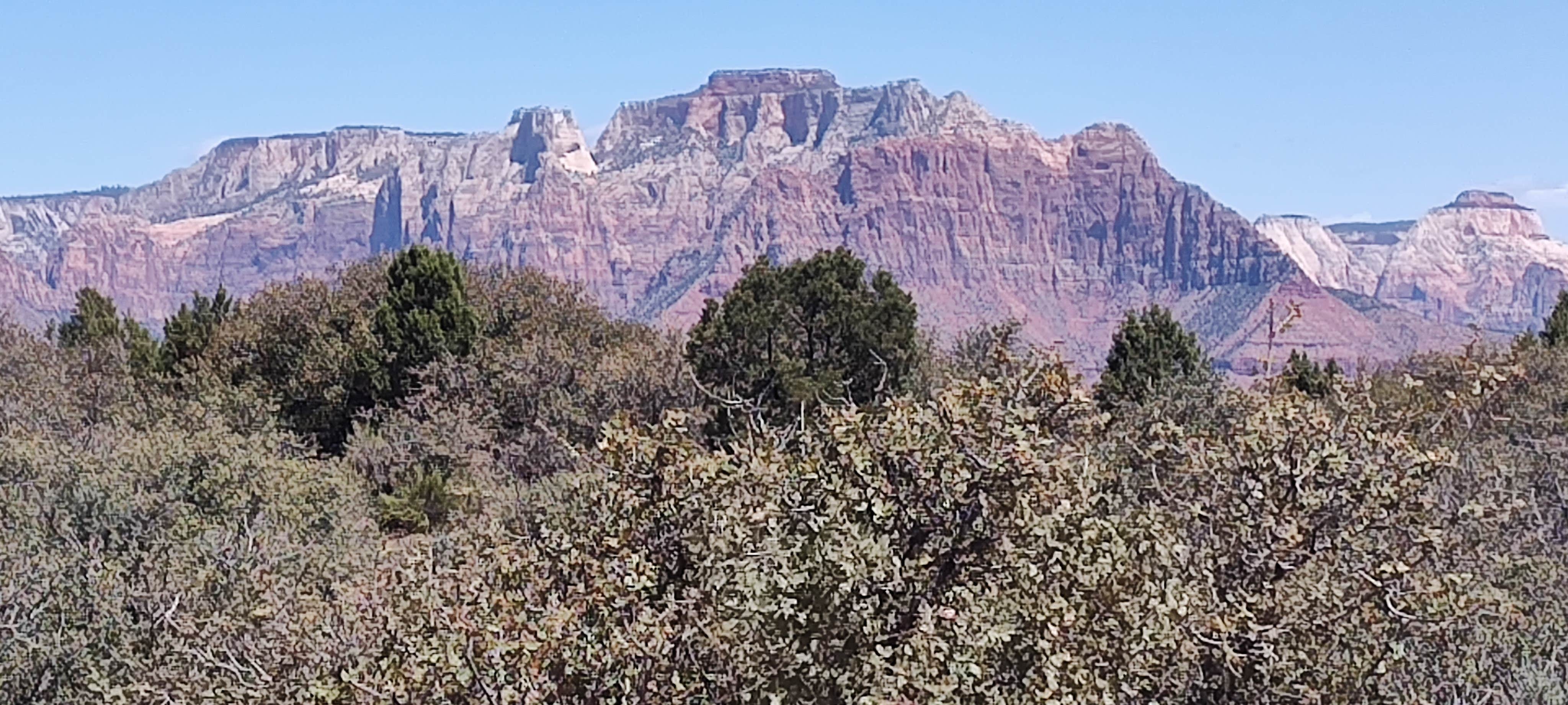 Camper-submitted photo at Gooseberry Mesa near Colorado City, AZ