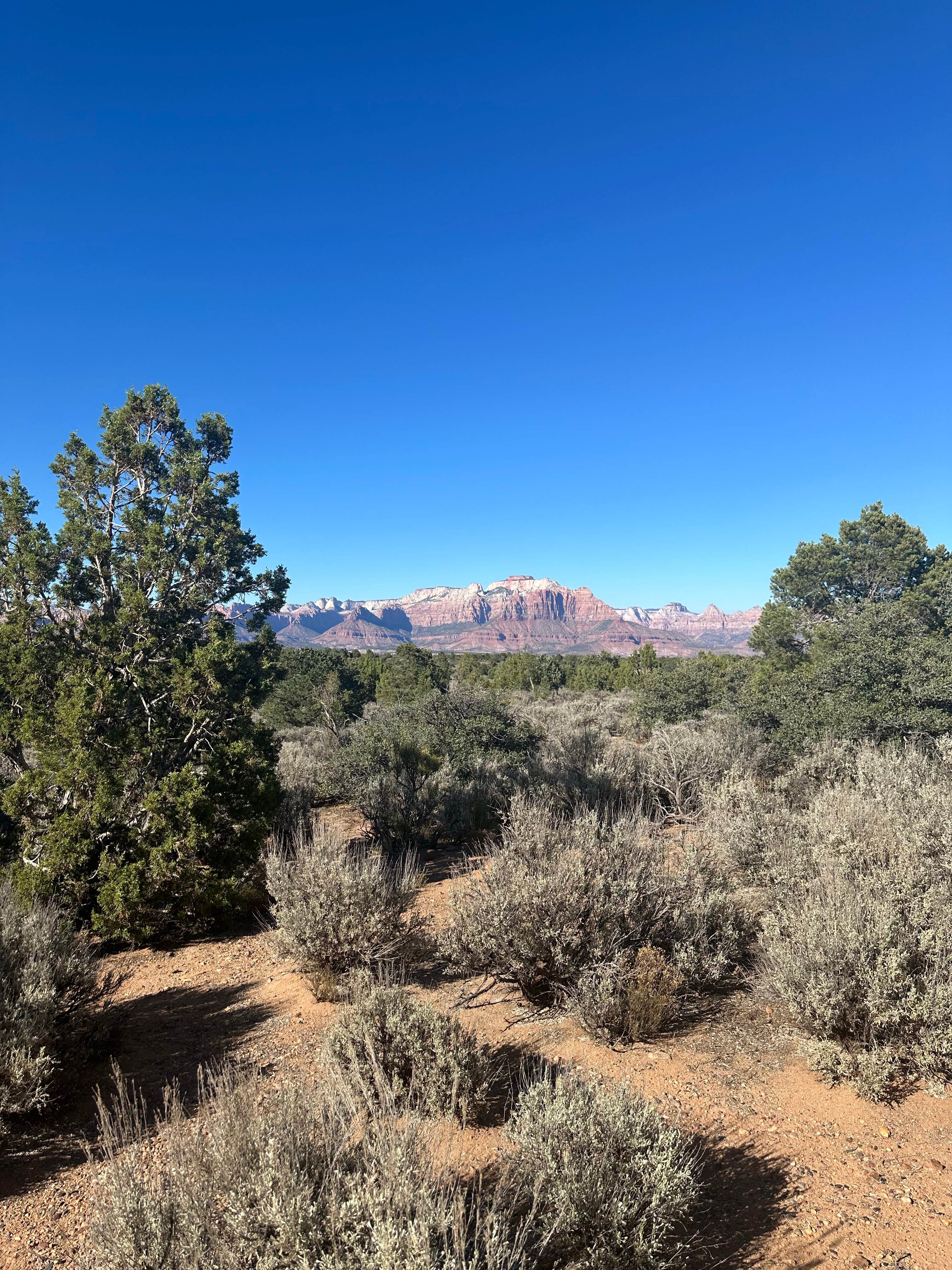 Gooseberry Mesa Camping Rockville UT