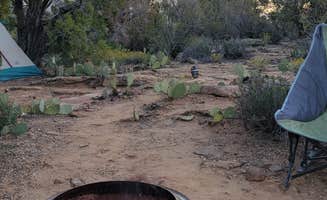Sharon C.'s photo at Gooseberry Mesa near Springdale, UT
