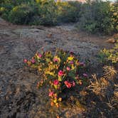 Review photo of Gooseberry Mesa by Tim L., May 15, 2026