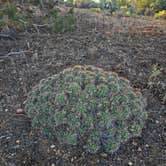 Review photo of Gooseberry Mesa by Tim L., May 15, 2026