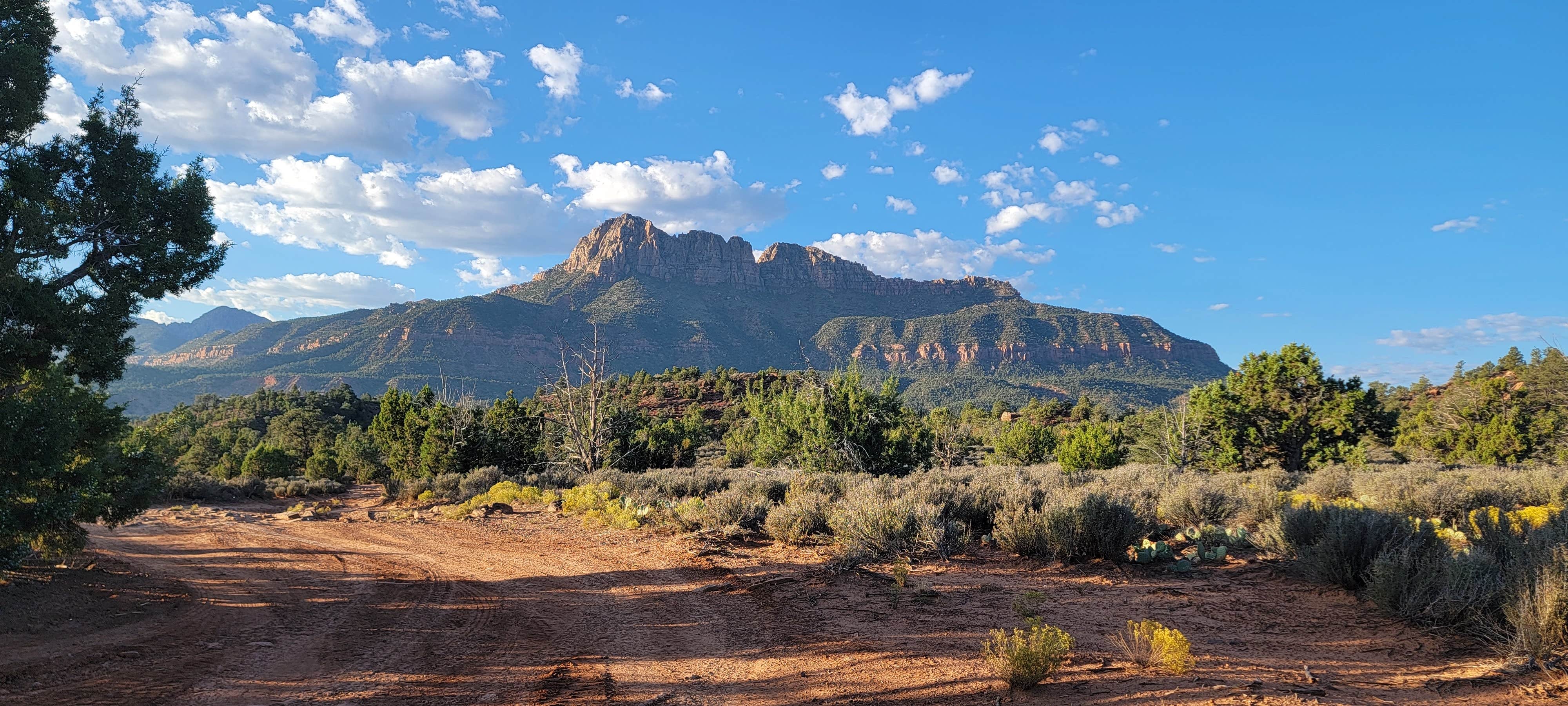 Sharon C.'s photo of a dispersed camping area at Gooseberry Mesa near Colorado City, AZ