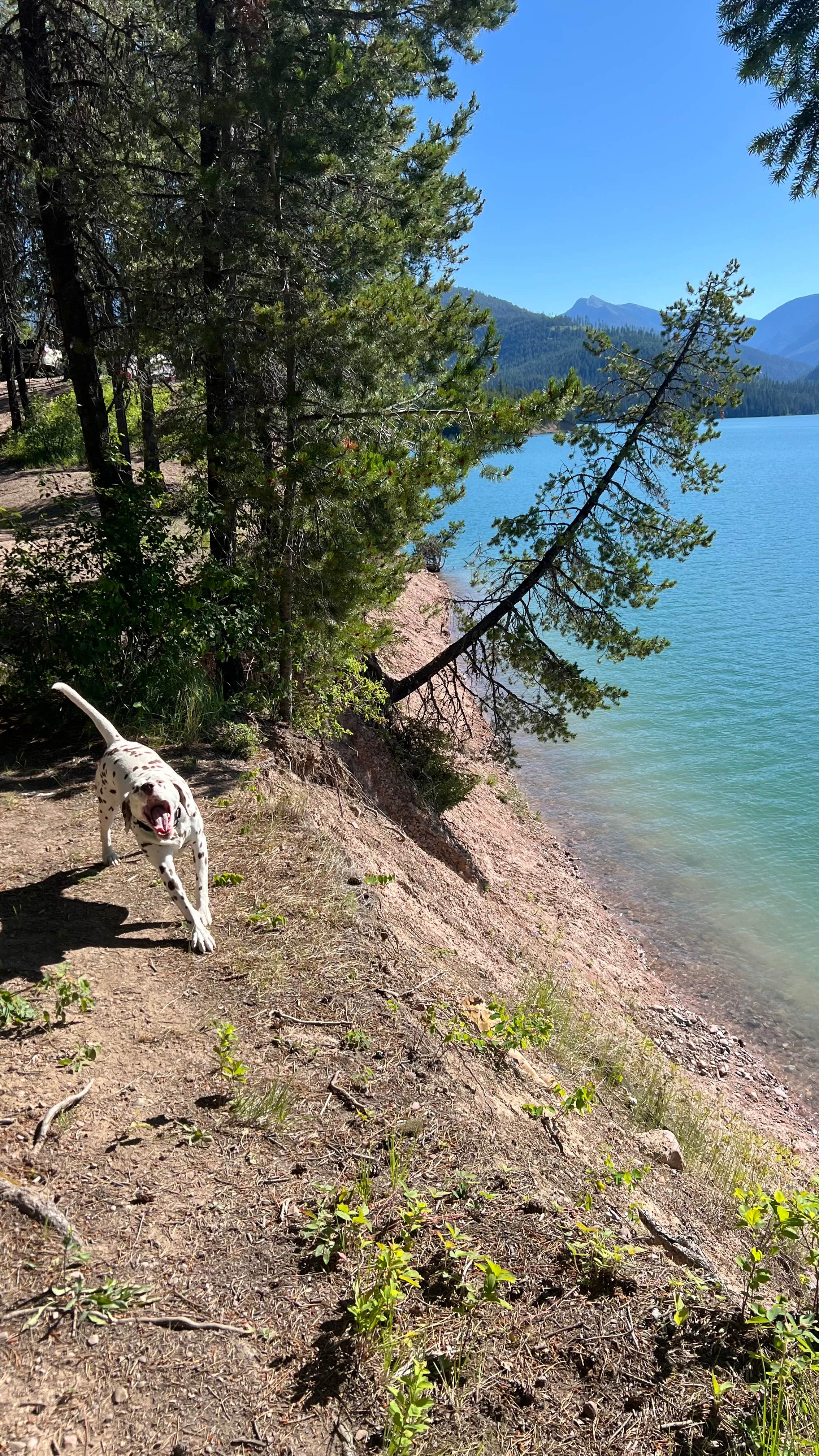 Camper submitted image from GooseHead Camping Area - 3