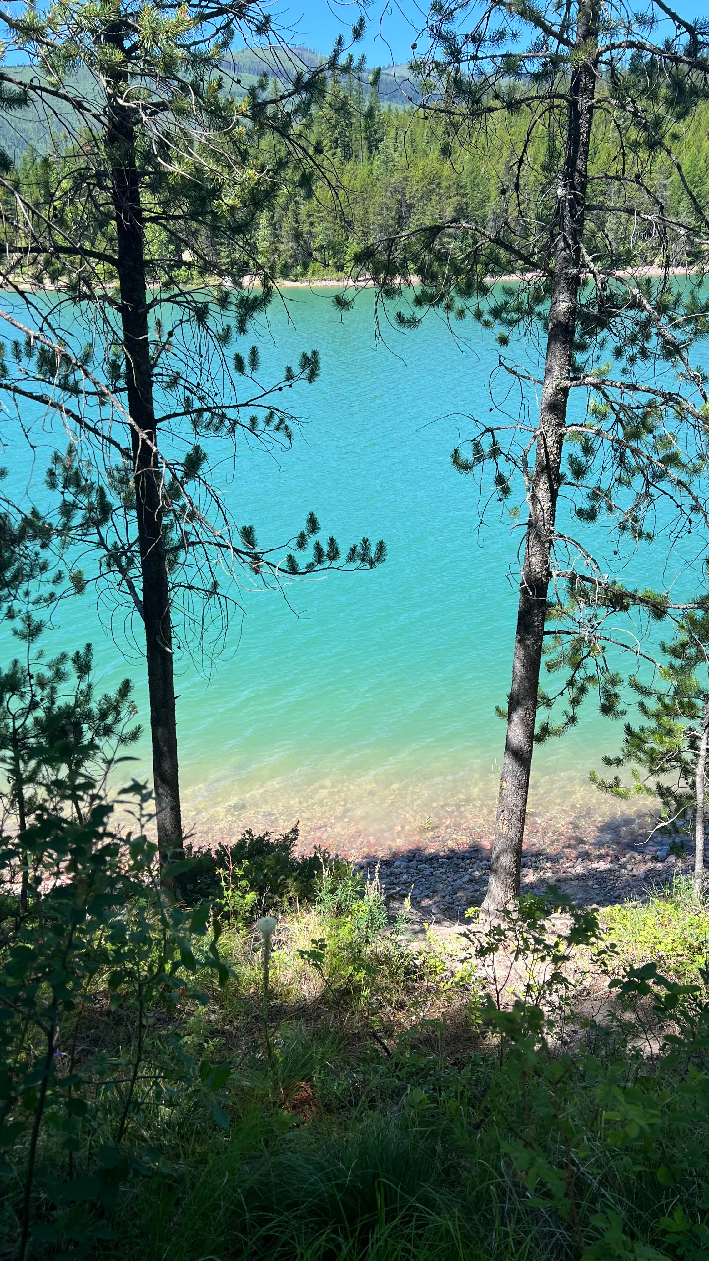 Jules S.'s photo of a dispersed camping area at GooseHead Camping Area near Polson, MT