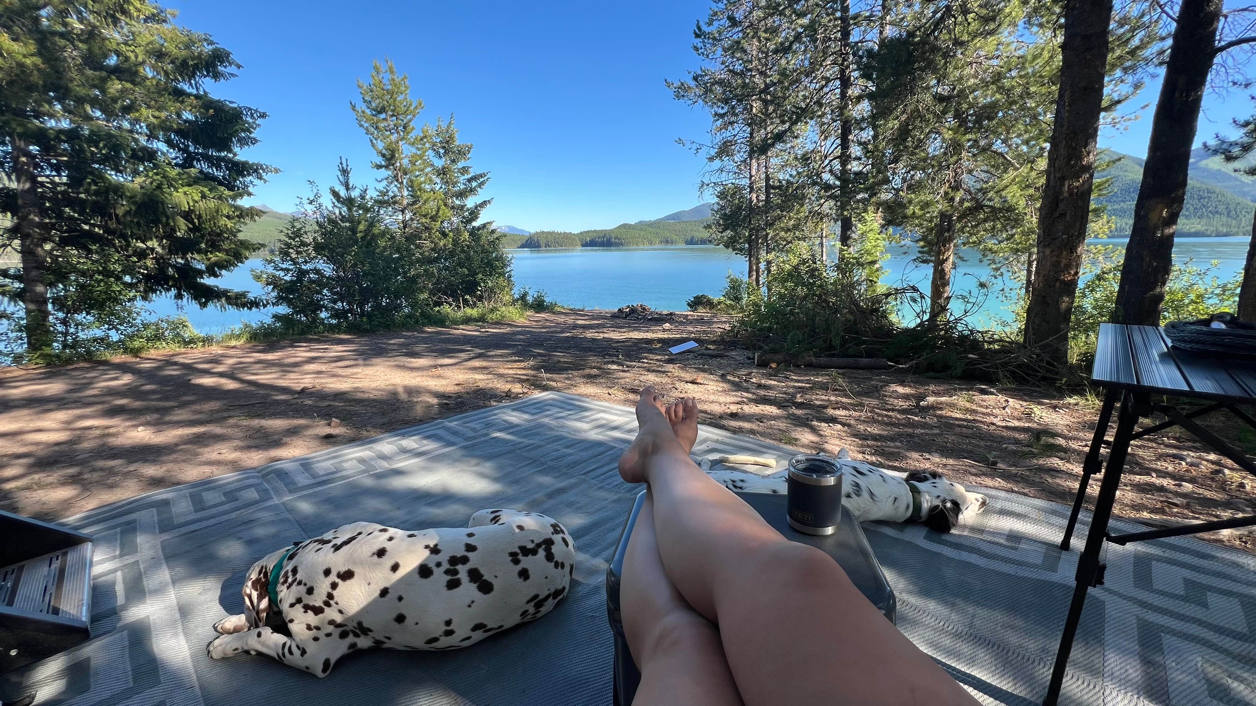 Jules S.'s photo of camping with pets at GooseHead Camping Area near Kalispell, MT