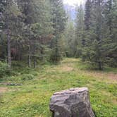 Review photo of GooseHead Camping Area by Yasir A., August 27, 2026