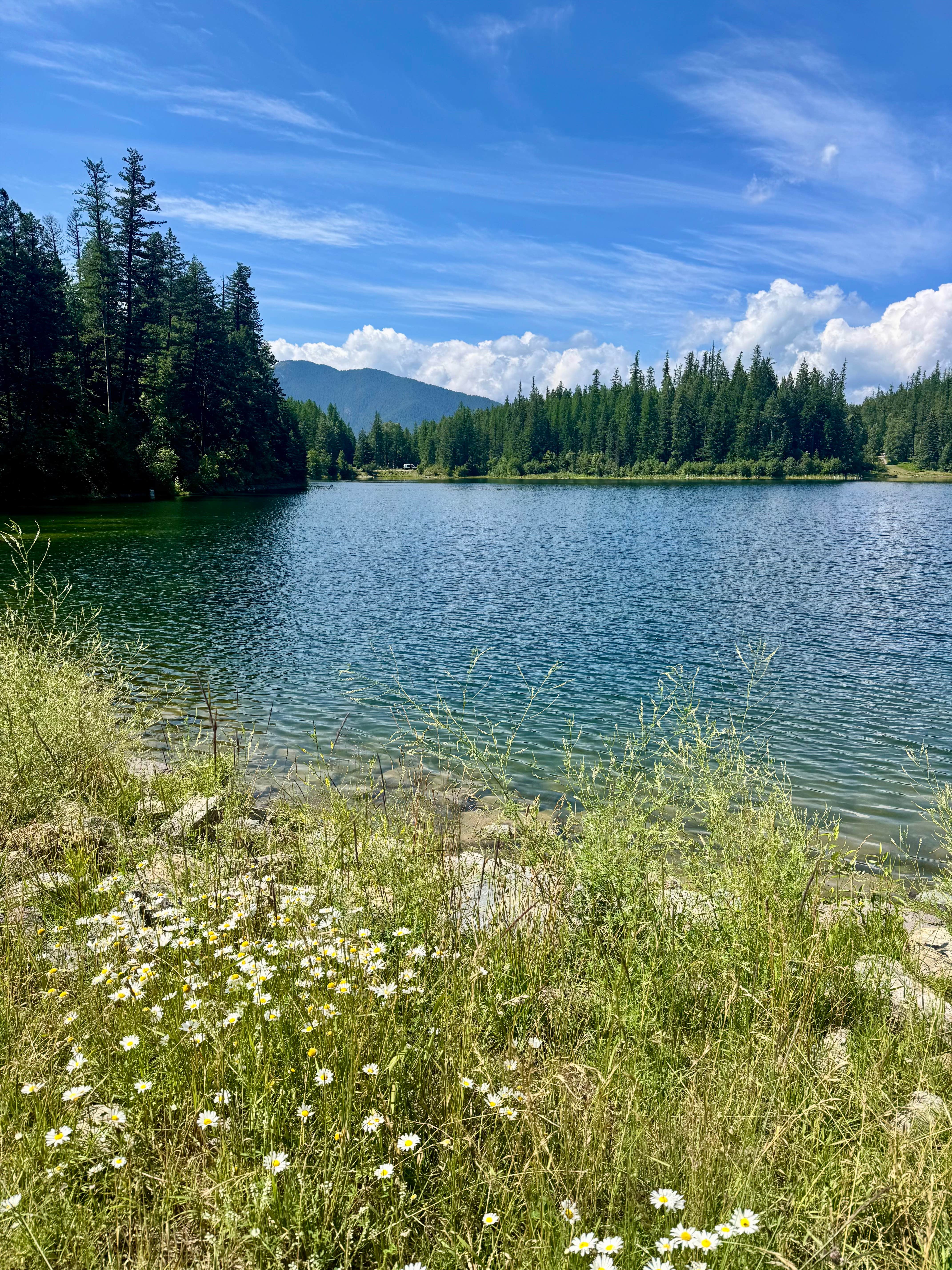 Reames C.'s photo of a dispersed camping area at GooseHead Camping Area near Columbia Falls, MT