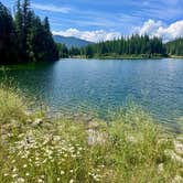 Review photo of GooseHead Camping Area by Reames C., July 28, 2025