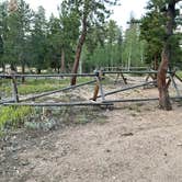 Review photo of Gordon Gulch Dispersed Area by Carlos D., August 18, 2026