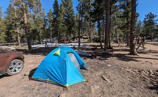Cassidy M.'s photo of a dispersed camping area at Gordon Gulch Dispersed Area near Boulder, CO