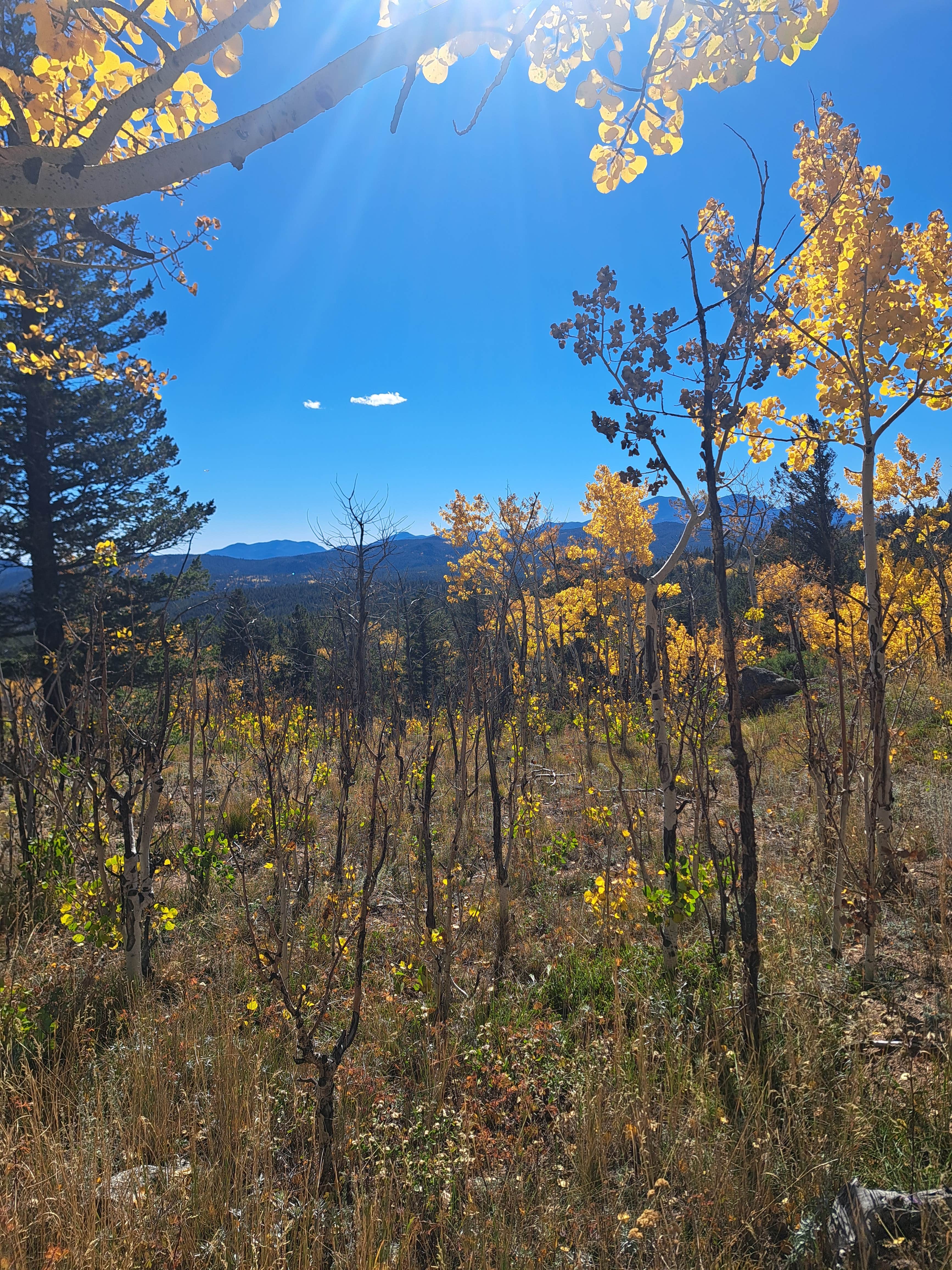 amber H.'s photo of a dispersed camping area at Gordon Gulch Dispersed Area near Boulder, CO