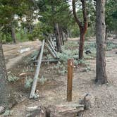 Review photo of Gordon Gulch Dispersed Area by Carlos D., August 18, 2026