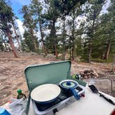 Review photo of Gordon Gulch Dispersed Area by Gwendalyn M., May 13, 2026