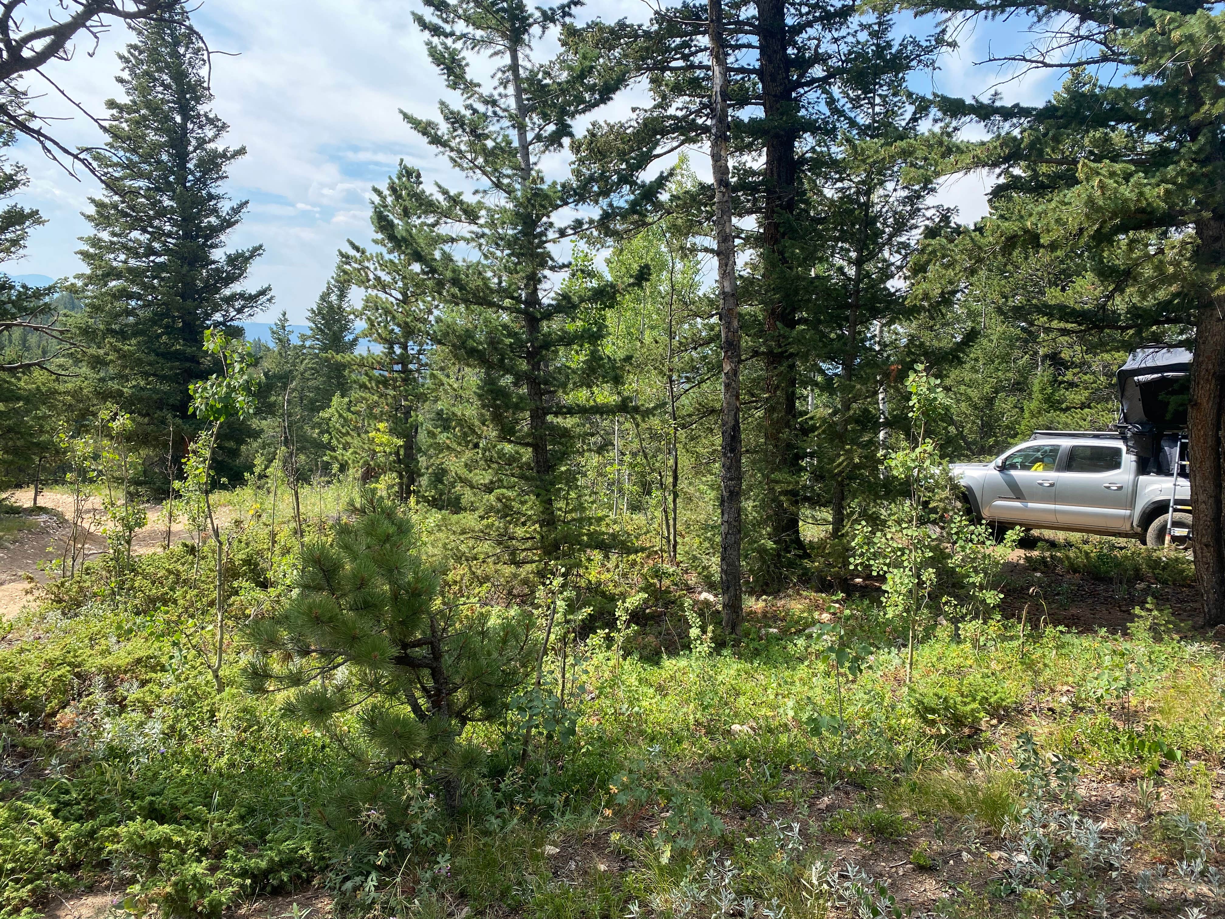 Camping near Peak to Peak RV Park: Gordon Gulch Dispersed Camping II, Nederland, Colorado