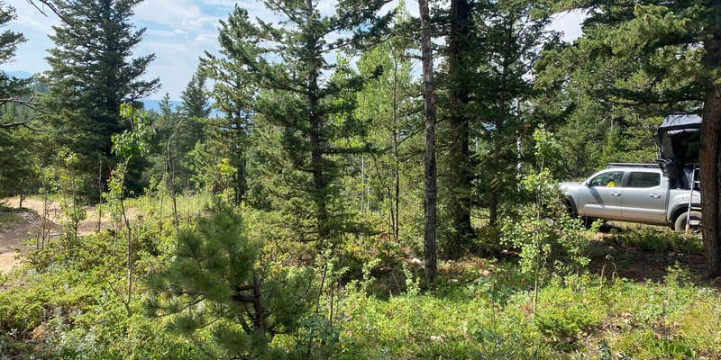 Camper submitted image from Gordon Gulch Dispersed Camping II