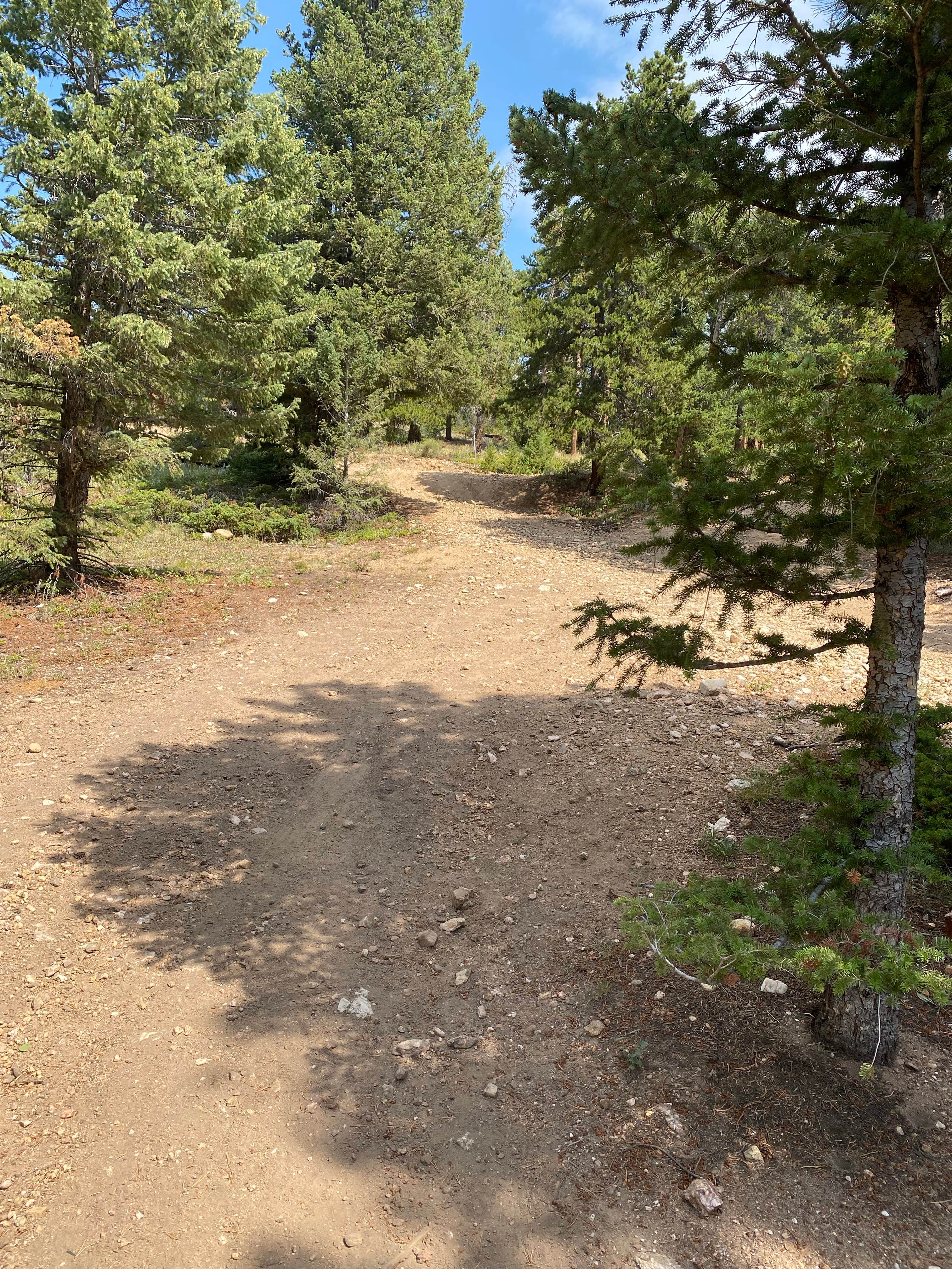Camper submitted image from Gordon Gulch Dispersed Camping II - 2