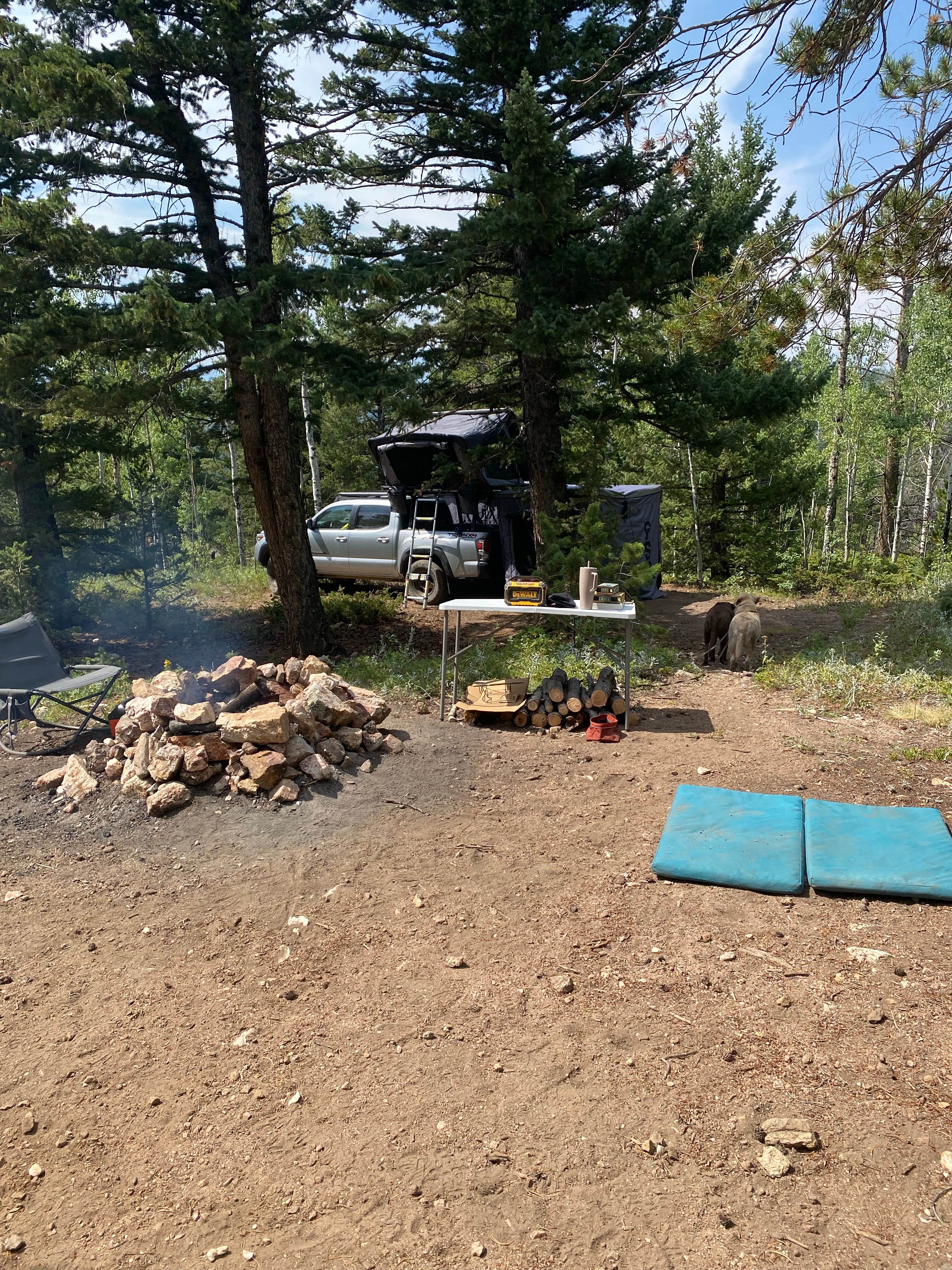 Andrew C.'s photo at Gordon Gulch Dispersed Camping II near Jamestown, CO