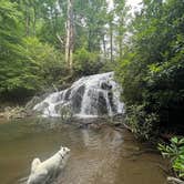 Review photo of Gorges State Park Campground by Richard L., October 17, 2023