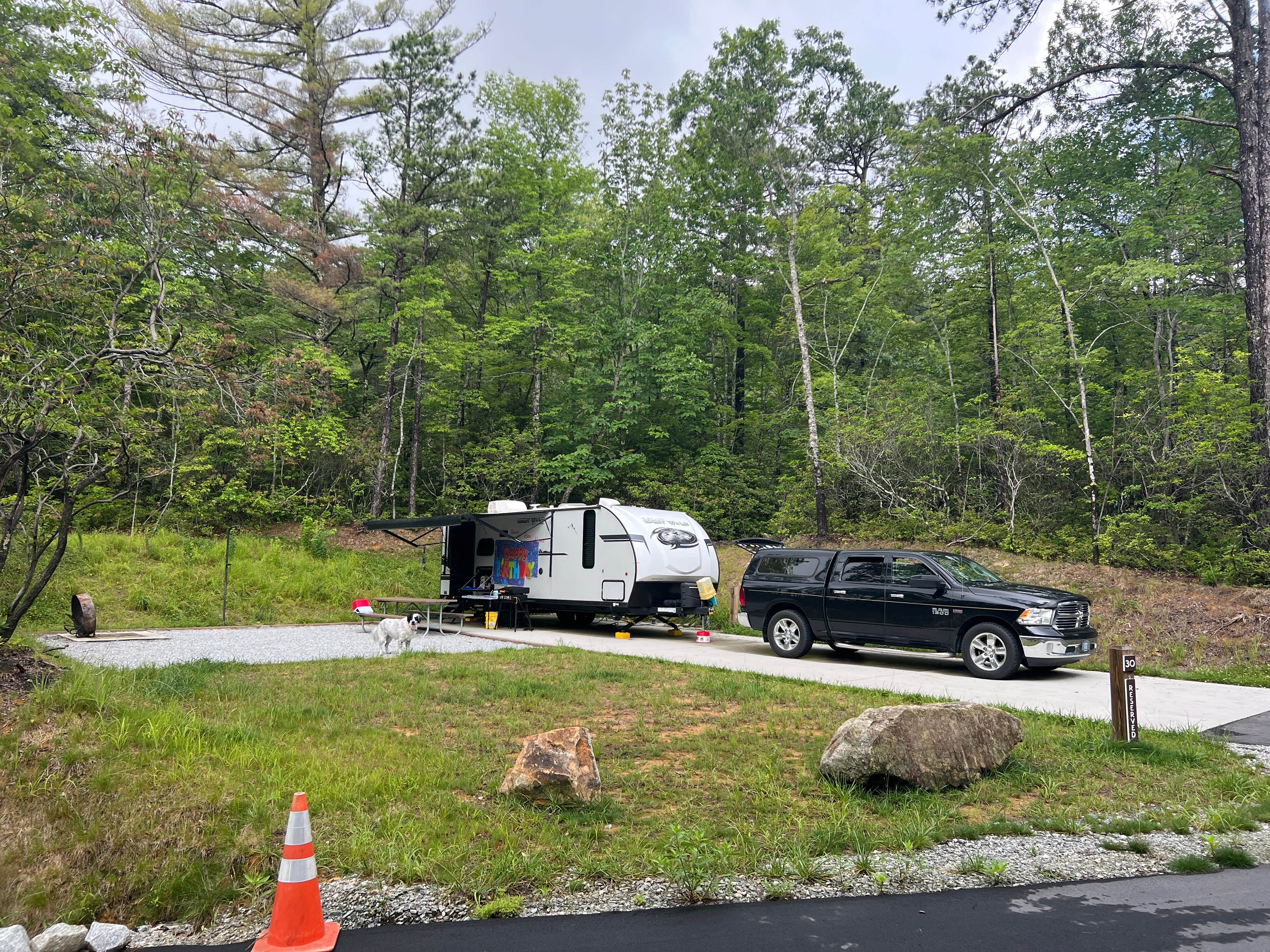 Richard L.'s photo of camping with pets at Gorges State Park Campground near Glenville, NC