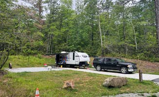 Richard L.'s photo of camping with pets at Gorges State Park Campground near Cashiers, NC