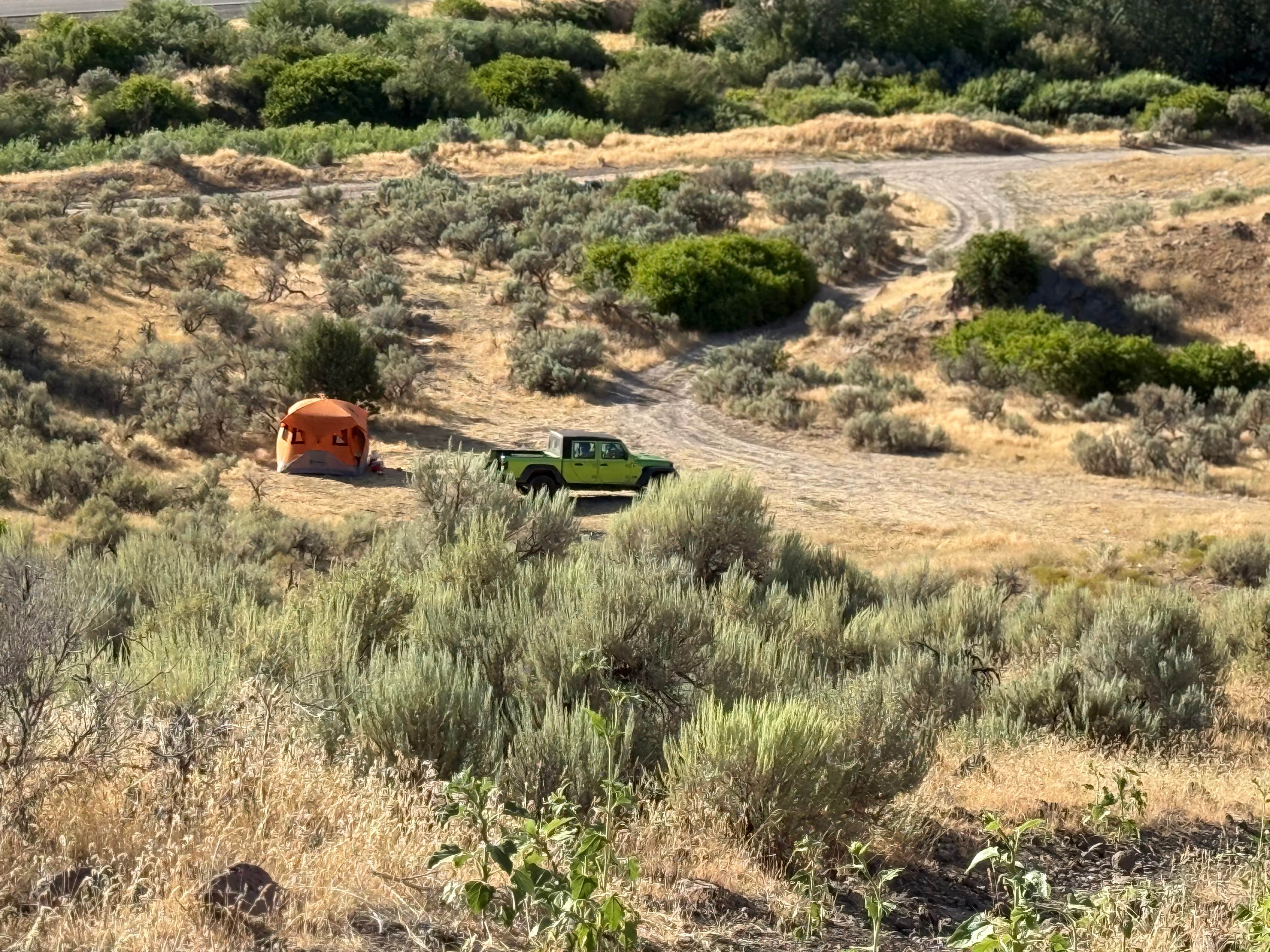Camper submitted image from Goshen Road Dispersed Camping - 2