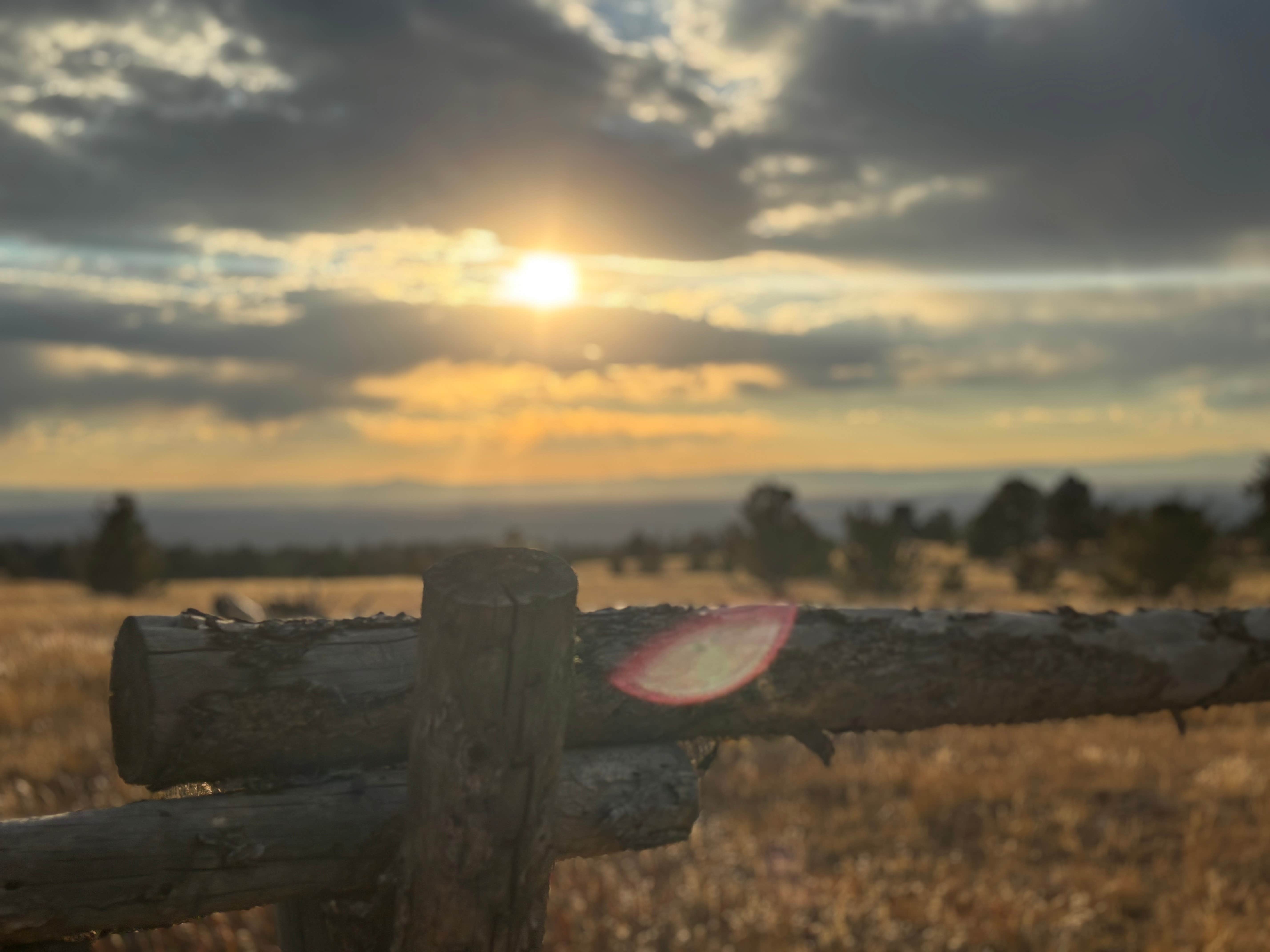 Camper-submitted photo at Government Gully Rd - Dispersed near Buford, WY