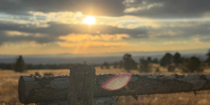 Camper submitted image from Government Gully Rd - Dispersed